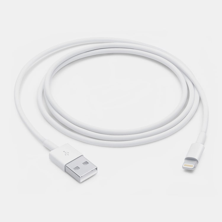 Apple Lightning USB Cable - MD818ZM/A